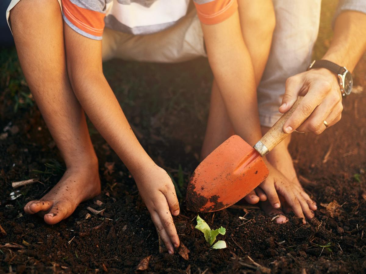 Child and father gardening