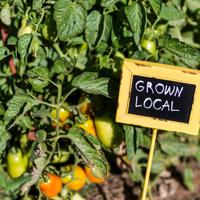 Explore a variety of seasonal recipes that highlight fresh produce from your garden, fostering a garden-to-table lifestyle.