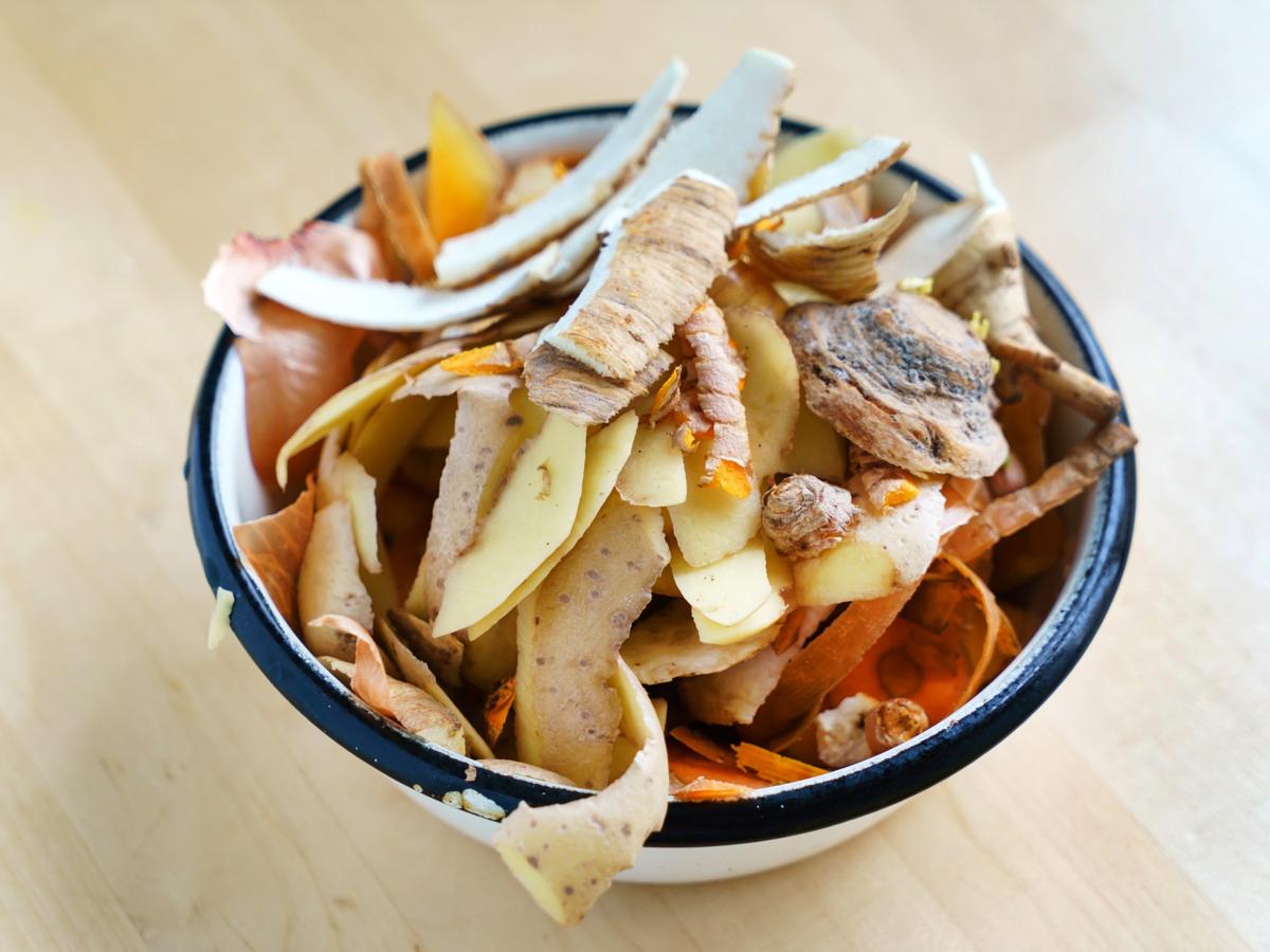 kitchen scraps compost