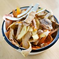 kitchen scraps compost