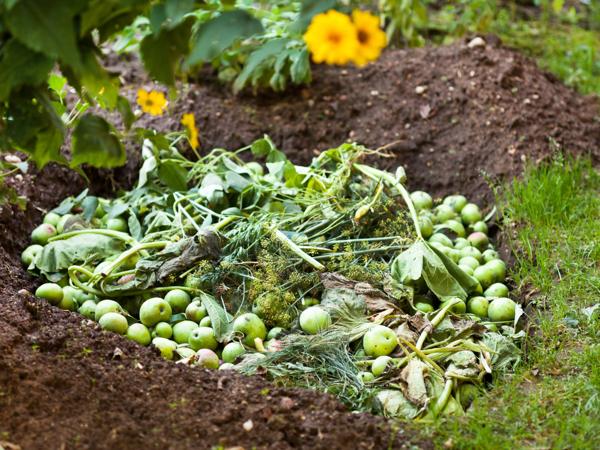 Compost pile