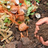 Compost