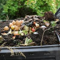 Learn the essentials of composting to improve soil health and support your garden's growth.