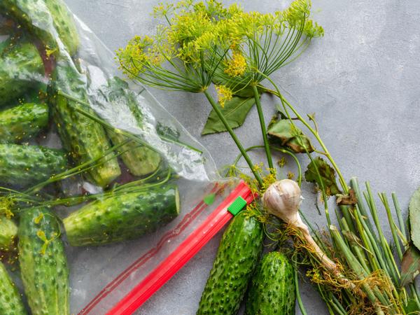 Dry-salted cucumbers