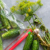 Dry-salted cucumbers