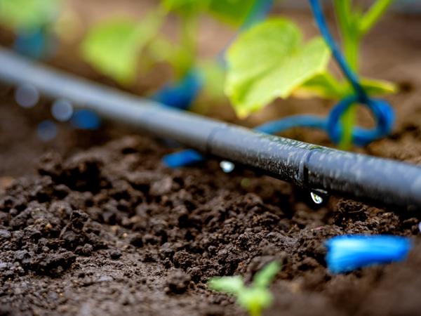 Drip Irrigation System