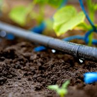 Drip Irrigation System