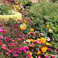 Flower and vegetable garden