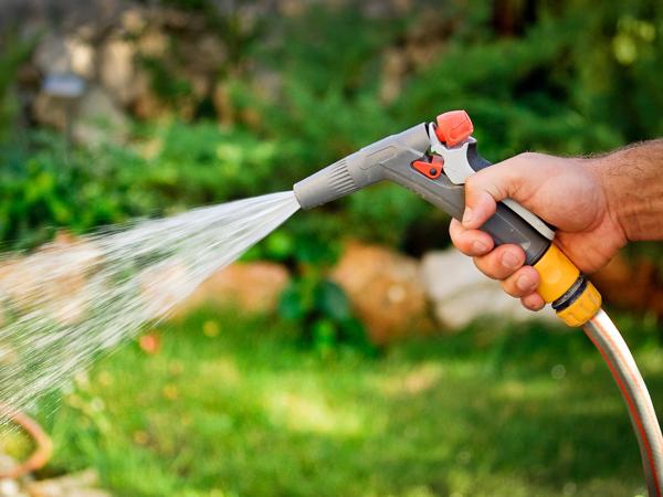 Watering garden with hose