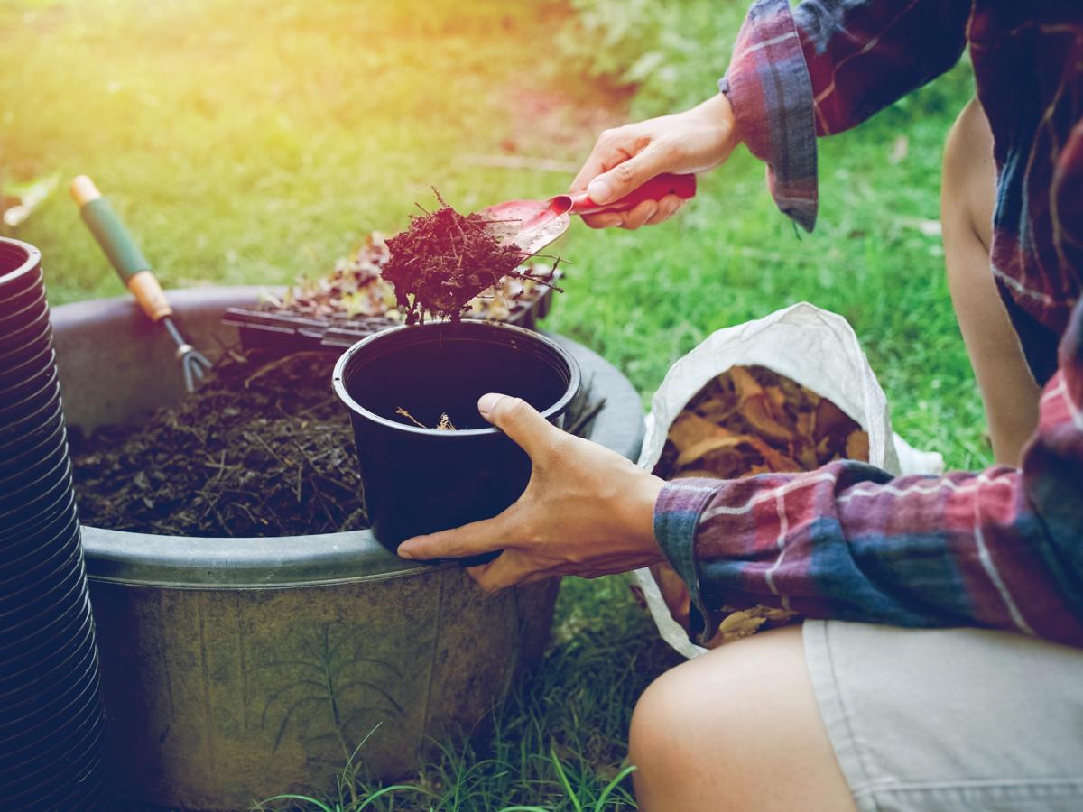 Man planting vegetables in pots