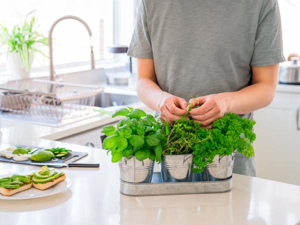 Indoor Herb Gardening