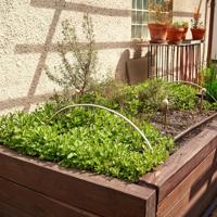 Learn how to establish a flourishing perennial herb garden that provides fresh herbs for your kitchen while promoting sustainability.