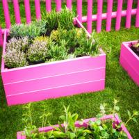 Pink raised bed herb garden