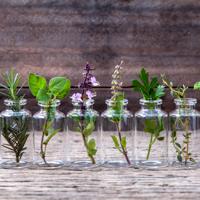 Essential oils, herbs, aromatherapy