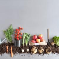 Organic Fruit and Vegetable Harvest