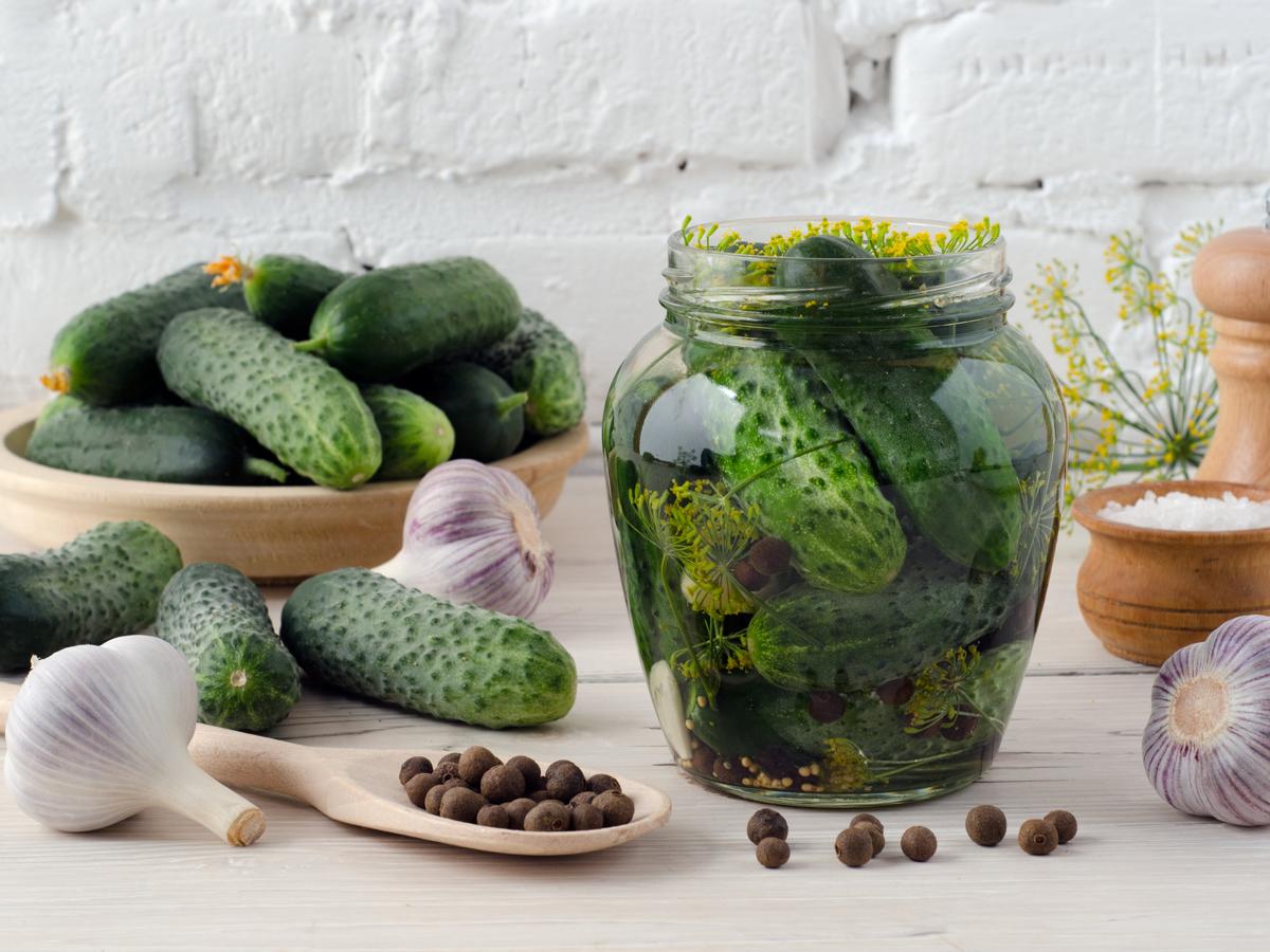 Pickling Cucumbers