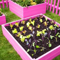 Urban raised bed garden