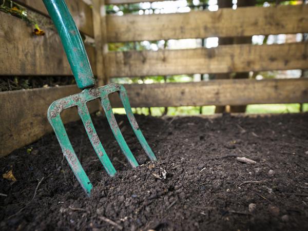 Rusty garden fork in compost bin