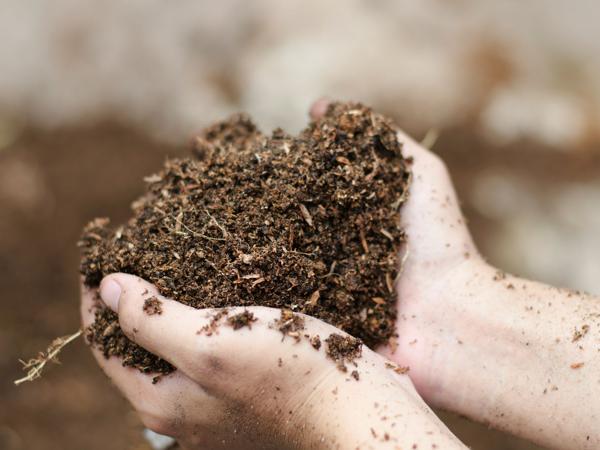 Woman's hands holding soil